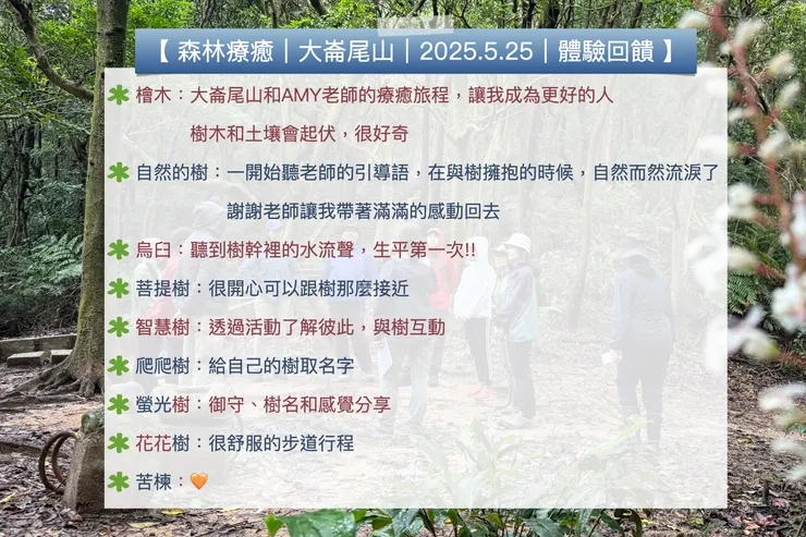 2025 大崙尾山森林療癒活動體驗活饋
