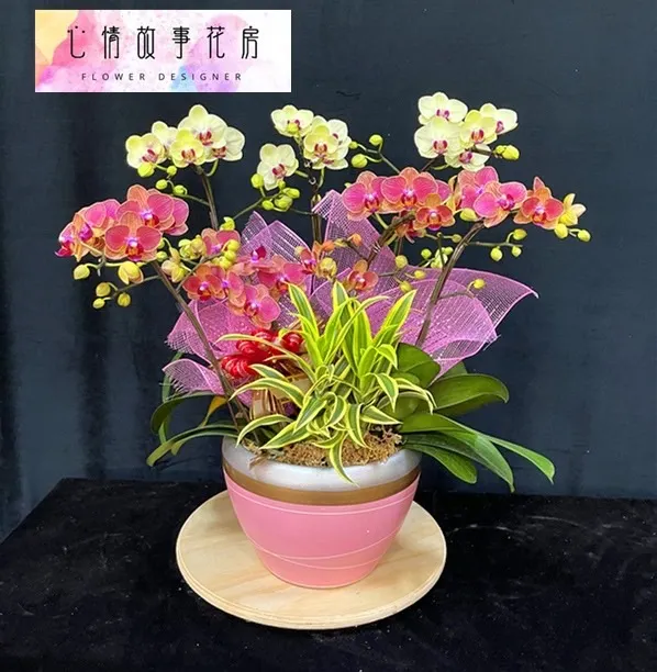 #台南花店 #鮮花 #蘭花 #玫瑰花 #永生花 #多肉植物 #盆栽 #花束 #花籃 #心情故事花房 