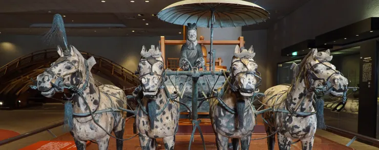 圖片來源：國立科學博物館官網