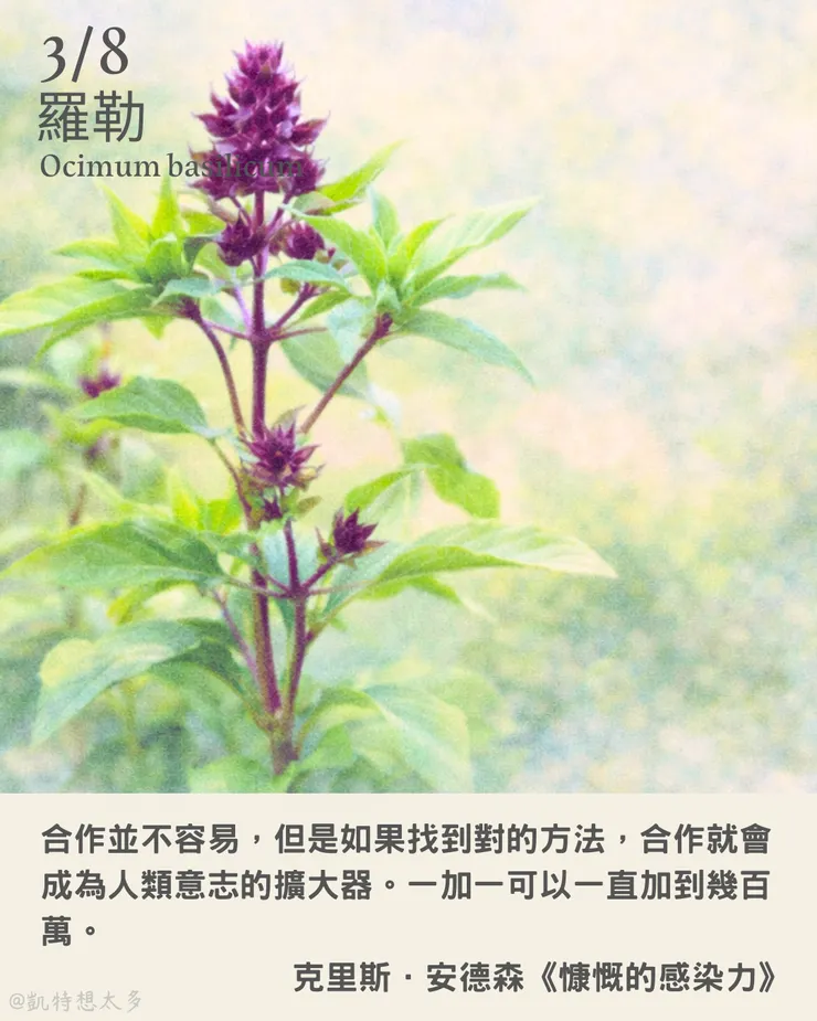 3 月 8 日｜羅勒×克里斯．安德森《慷慨的感染力》