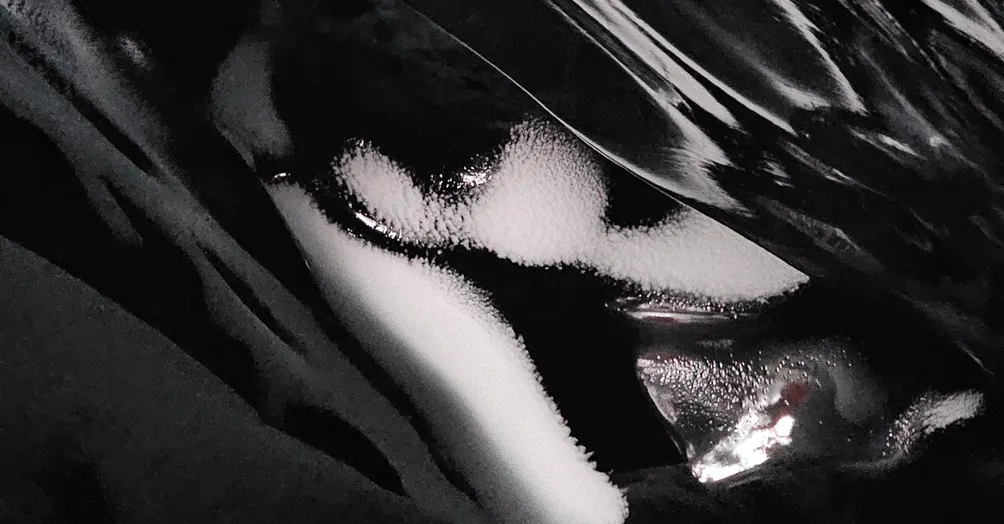 減法的部落格的沙龍