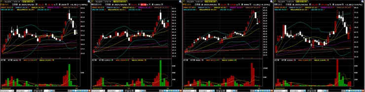 資安（軟體）－族群個股