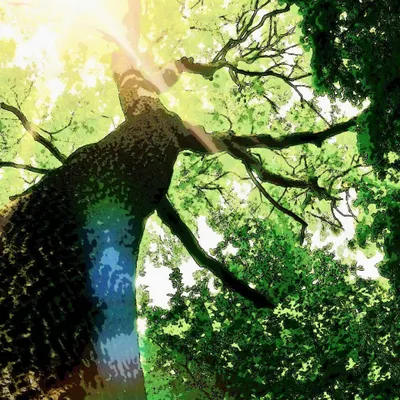 自由是人生的原動力 – 行銷的魔法的沙龍