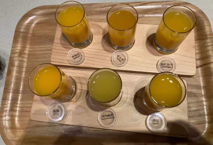 六種柑橘汁試飲杯