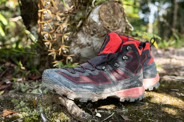 婆羅洲高地雨林中的DUCAN GTX