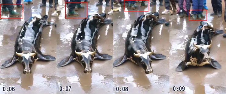 影片截圖，紅框圈出了影片中路人腳部扭曲，MyGoPen 提供