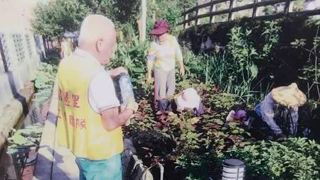 [新北旅遊]汐止區智慧里水尾灣翻轉基隆河的景觀，從髒亂地點、