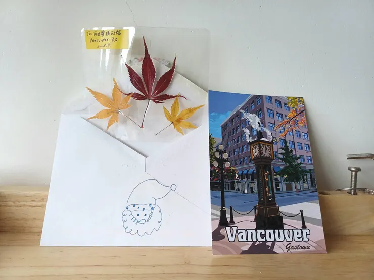 2025.12.09　收到來自加拿大的楓葉，怡霖大說這是「日本楓」