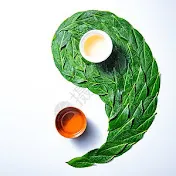 寬以居之的占星派對