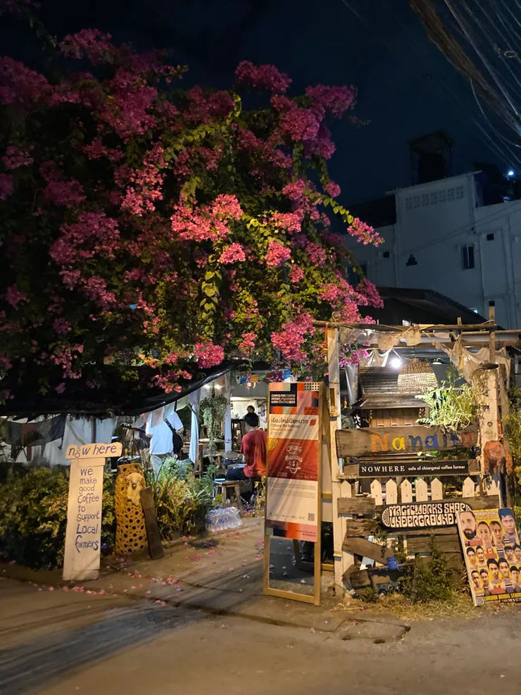 飯店旁邊小酒吧，12月開滿了花加上晚上的音樂更美了。