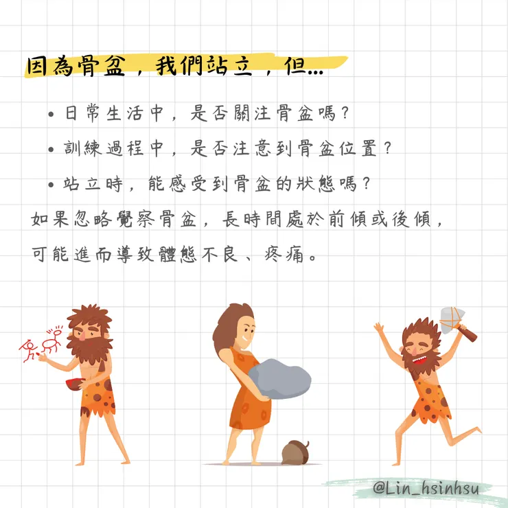 人類的骨盆讓我們可以空出雙手