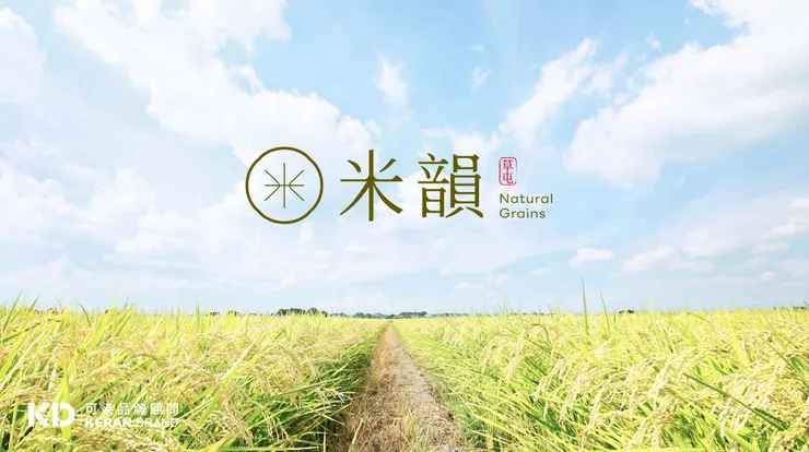 可染品牌設計作品