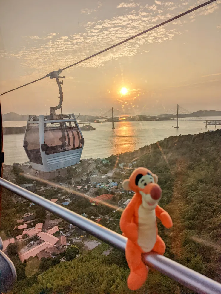 虎生依舊很不錯