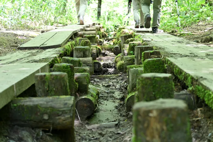 上高地/攝影:NANA濕婦