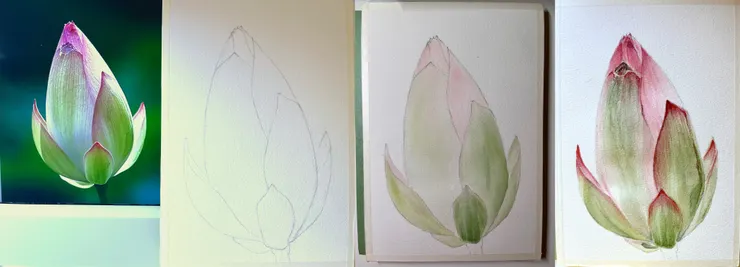 圖 YHCC@水彩練習 過程 ｜繪圖參考來源 