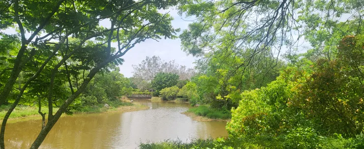 台中都會公園(李建崑攝影)