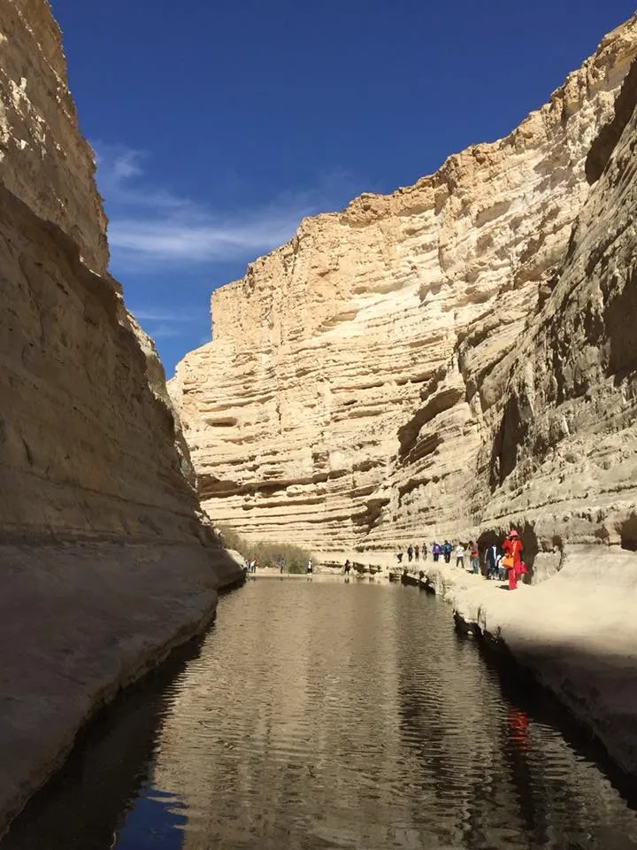 以色列亞拉曠野(李建崑攝影)