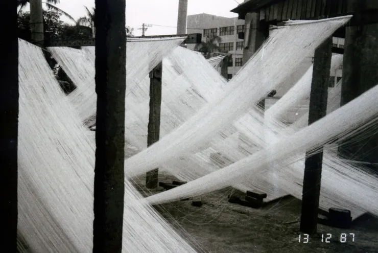 小時候家裡曬麵的情景。我愛躲在下面嬉戲，那種被層層垂條包圍的安全感，彷彿也為自己搭起了一座小小的「神聖空間」。