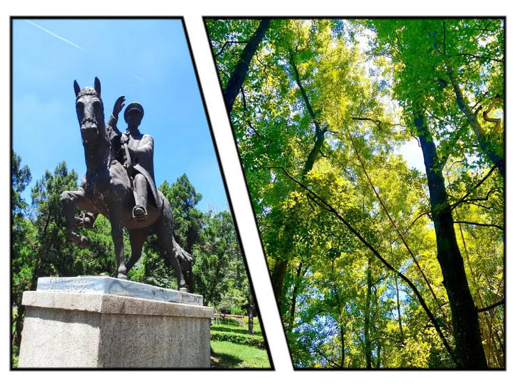 銅像公園/前慈湖林蔭步道