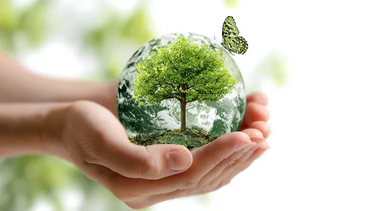 圖片來源：茶水間｜陪你跨職場旅人生