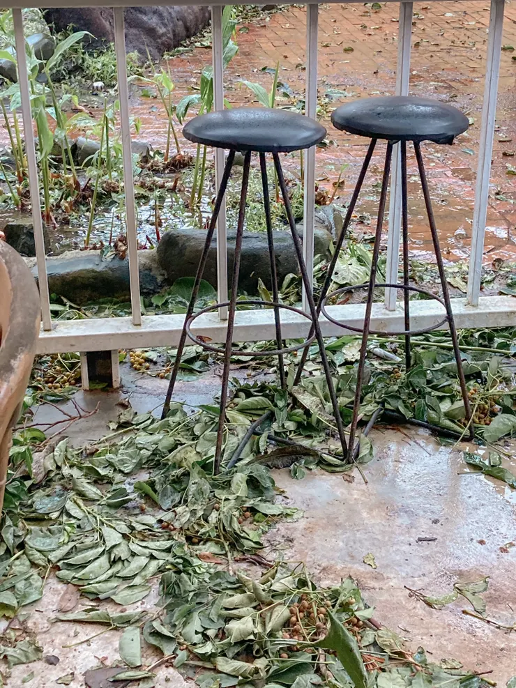 找找落單的虎頭蜂