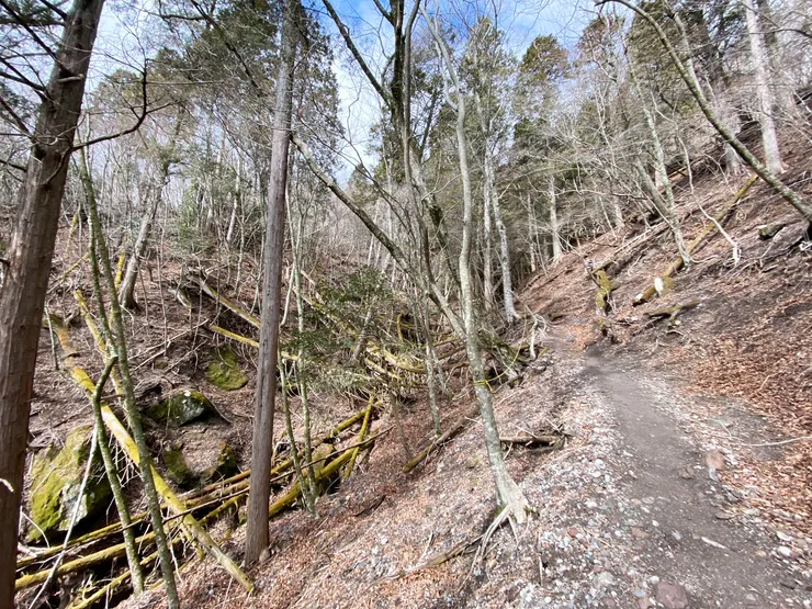 日本大分-由布岳 || 沿途景色
