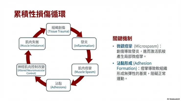 累積性損傷週期