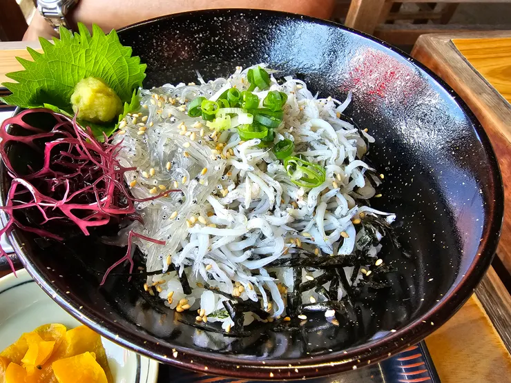 江之島美食 吻仔魚蓋飯