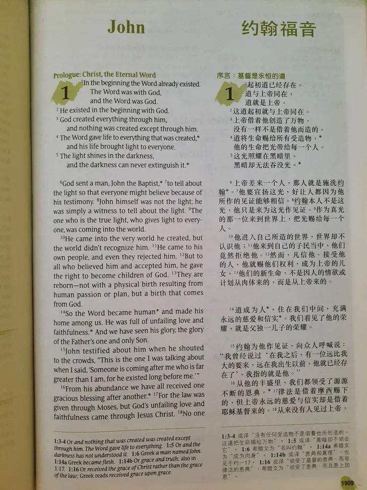 《圣经新普及译本》Holy Bible New Living Translation 样本