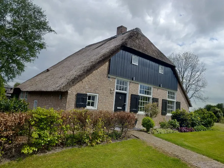 這類屋頂是就地取材