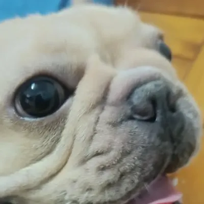 蕭哥的商戰羅盤：用 2400 萬的實戰學費，換你的精準決策