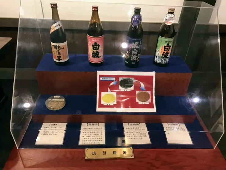 到了鹿兒島四處都可以看到枕崎的地酒白波的廣告