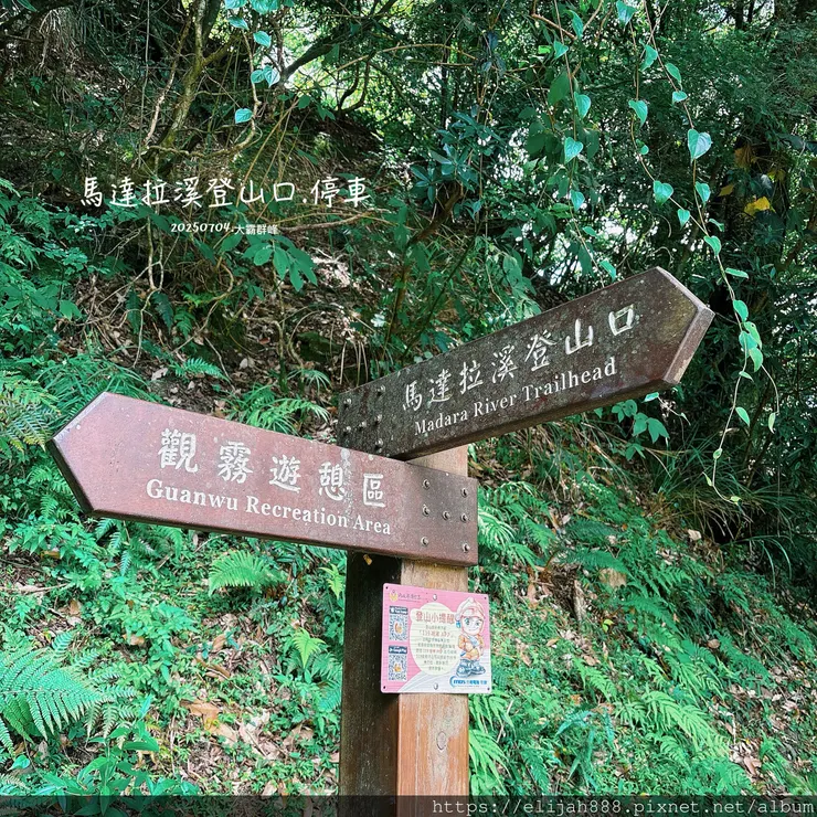 【大霸群峰4百岳。兩天一夜】觀霧大鹿林道東線騎越野單車/馬達