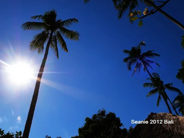 從水裡拍出去的藍天