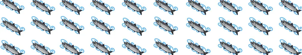 碗裡什麼魚的沙龍