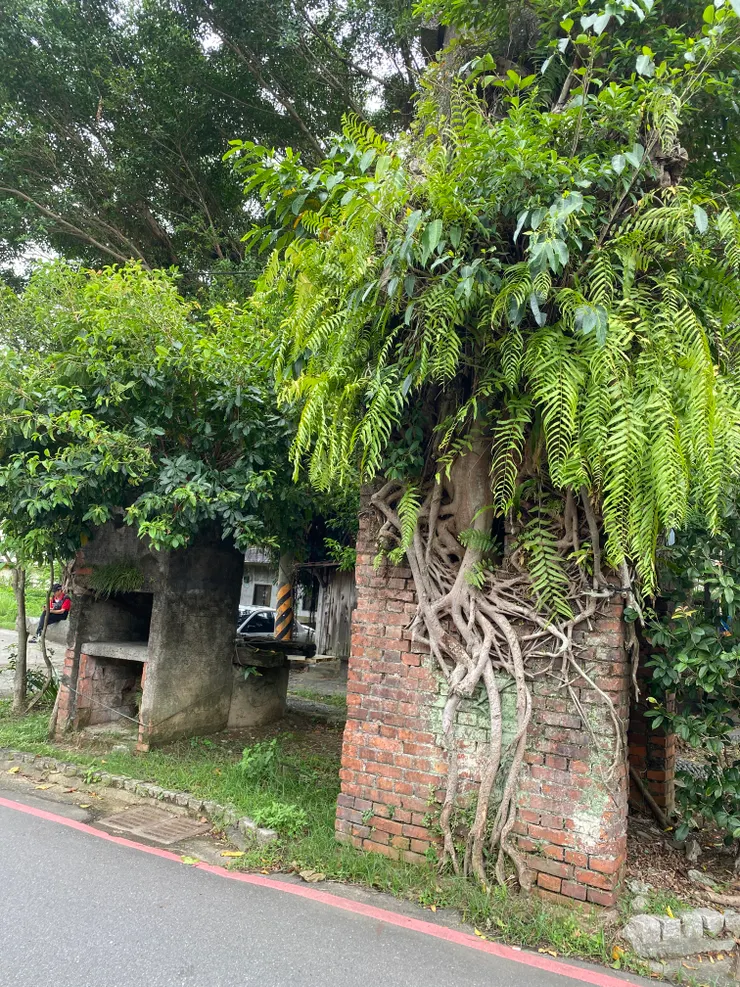 有看到後方的古井嗎