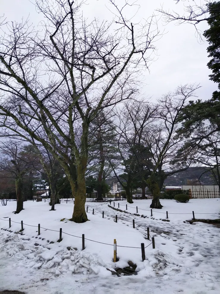 迎來令人讚嘆的雪景