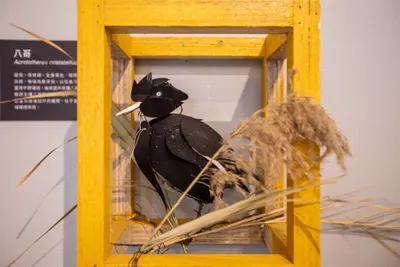 室內設計作品集散地