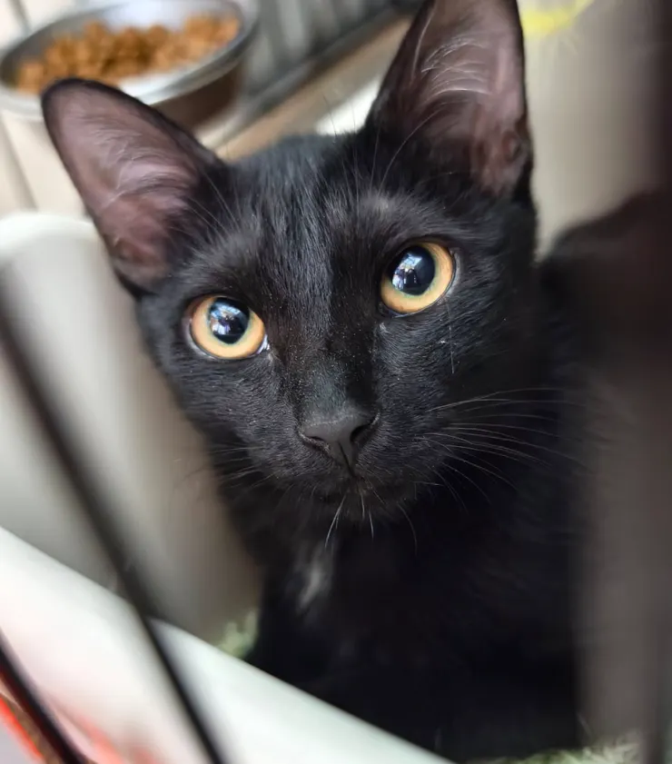 眼裡有光的錢錢