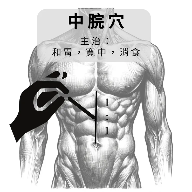中脘穴