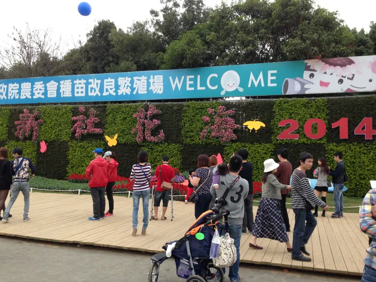 20141112我們帶三歲的祐看新社花海~