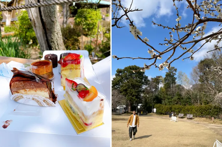 好適合野餐的天氣