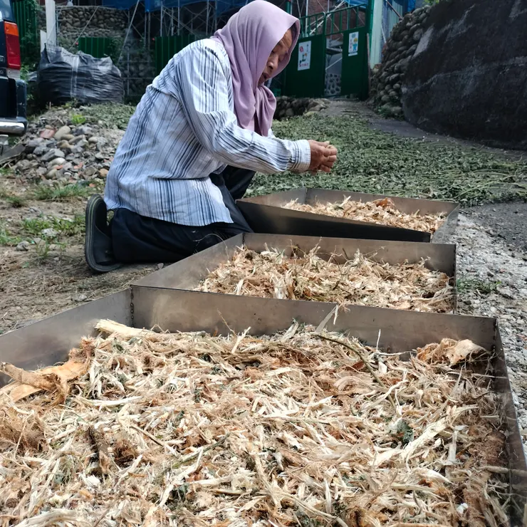 要確實曝曬,確保青草乾燥才能存放,免得發霉功虧一簣。