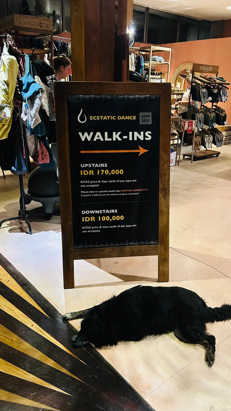 就是踩到這隻櫃檯邊休息的狗狗 真抱歉啊