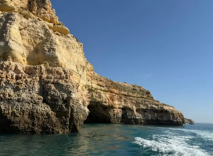 不可思議的美，在眼前綻放