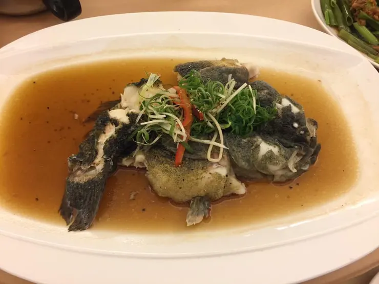 筍殼魚
