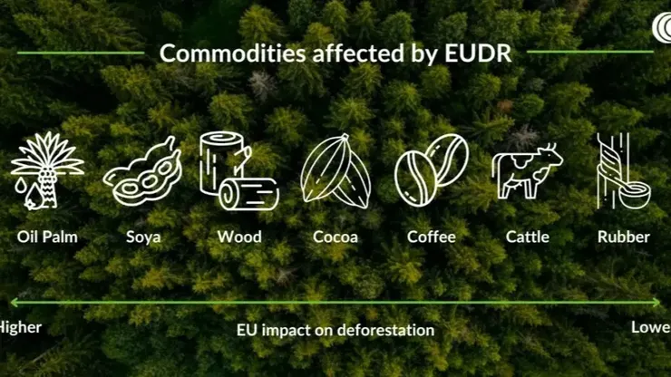 歐盟森林砍伐條例包含產品
