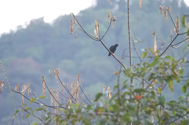 之後變得近了一些