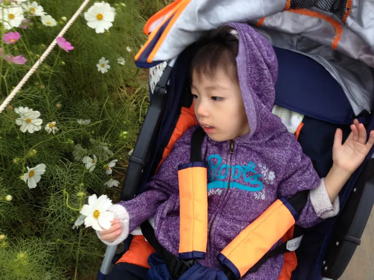 20141112新社花海~看著心情好的子祐