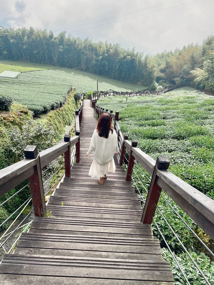 一條通往未來的路，從溫柔相信自己開始。 